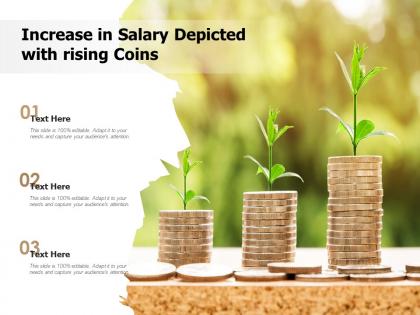 Increase in salary depicted with rising coins