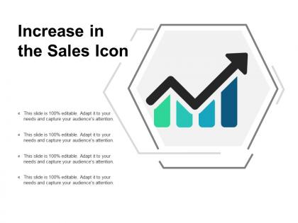 Increase in the sales icon