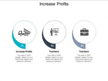 Increase profits ppt powerpoint presentation inspiration portfolio cpb