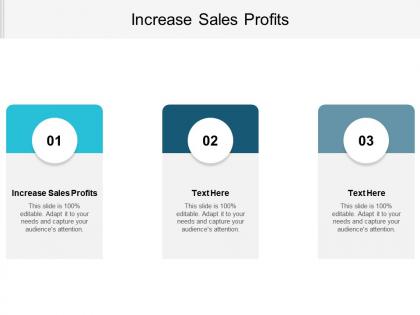 Increase sales profits ppt powerpoint presentation file slide portrait cpb