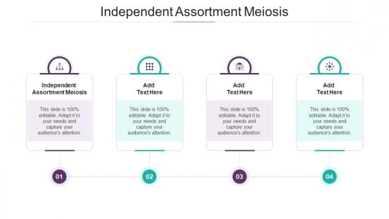 Independent Assortment Meiosis Ppt Powerpoint Presentation Inspiration Graphics Download Cpb