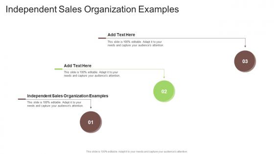 Independent Sales Organization Examples In Powerpoint And Google Slides Cpb