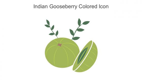 Indian Gooseberry Colored Icon In Powerpoint Pptx Png And Editable Eps Format