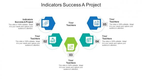 Indicators success a project ppt powerpoint presentation icon tips cpb
