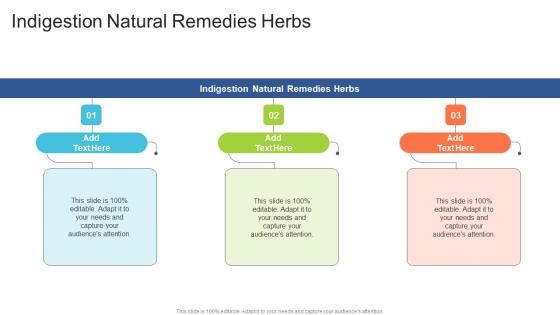 Indigestion Natural Remedies Herbs In Powerpoint And Google Slides Cpb