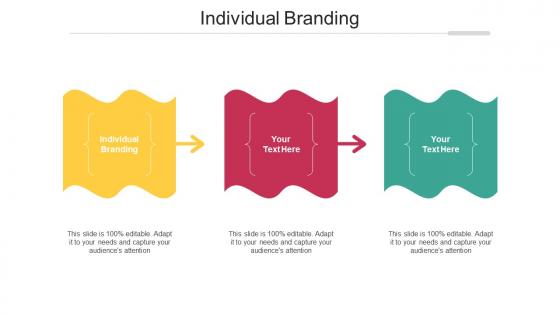 Individual Branding Ppt Powerpoint Presentation Slides Influencers Cpb