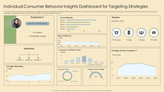 Individual Consumer Behavior Insights Dashboard For Targeting Strategies