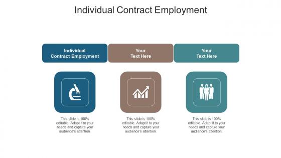 Individual contract employment ppt powerpoint presentation pictures graphics example cpb