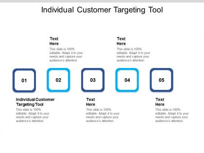 Individual customer targeting tool ppt powerpoint presentation portfolio templates cpb