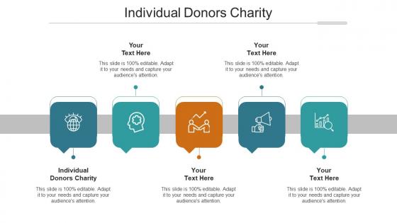 Individual Donors Charity Ppt Powerpoint Presentation Professional Images Cpb