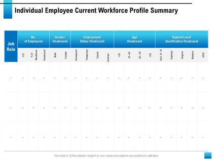 Individual employee current workforce profile summary status headcount ppt slides