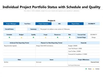 Individual project portfolio status with schedule and quality