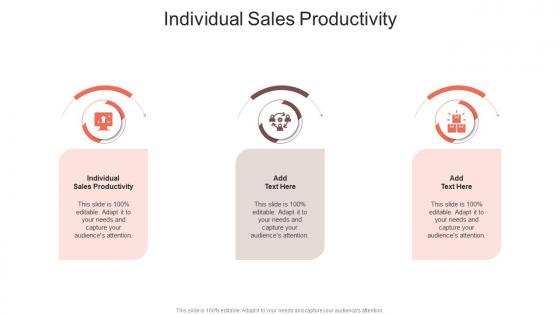 Individual Sales Productivity In Powerpoint And Google Slides Cpb