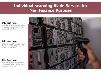 Individual scanning blade servers for maintenance purpose