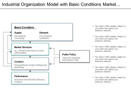 Industrial organization model with basic conditions market structure conduct and performance