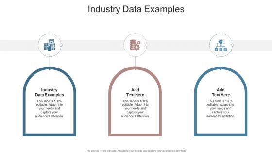Industry Data Examples In Powerpoint And Google Slides Cpb