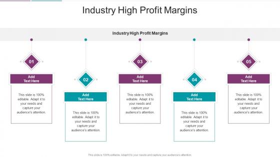 Industry High Profit Margins In Powerpoint And Google Slides Cpb