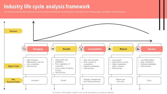 Industry Life Cycle Analysis Framework