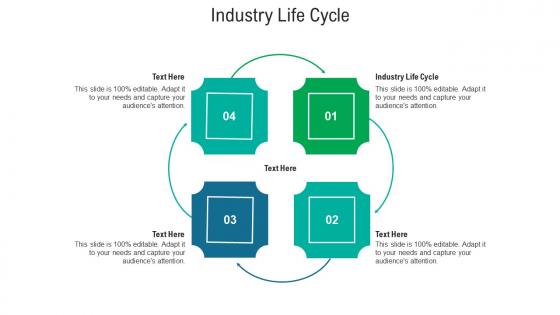 Industry life cycle ppt powerpoint presentation icon smartart cpb