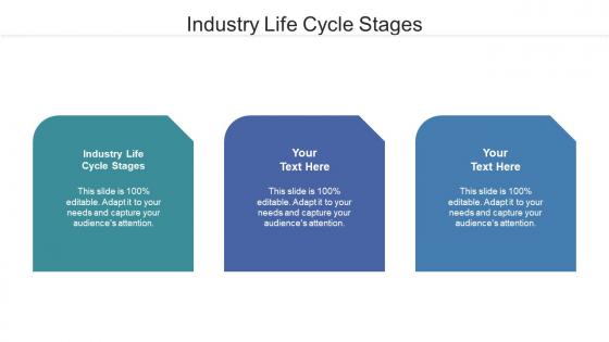 Industry Life Cycle Stages Ppt Powerpoint Presentation Pictures Slide Portrait Cpb