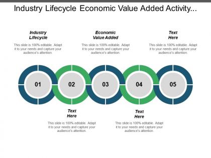 Industry lifecycle economic value added activity based costing cpb