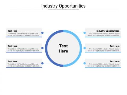 Industry opportunities ppt powerpoint presentation file show cpb