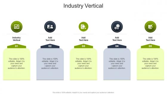 Industry Vertical In Powerpoint And Google Slides Cpb
