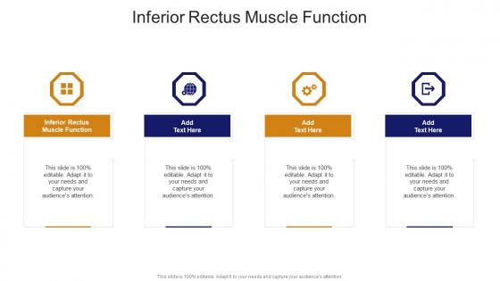 Inferior Rectus Muscle Function In Powerpoint And Google Slides Cpb