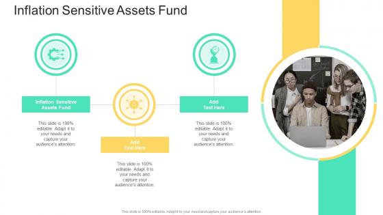 Inflation Sensitive Assets Fund In Powerpoint And Google Slides Cpb