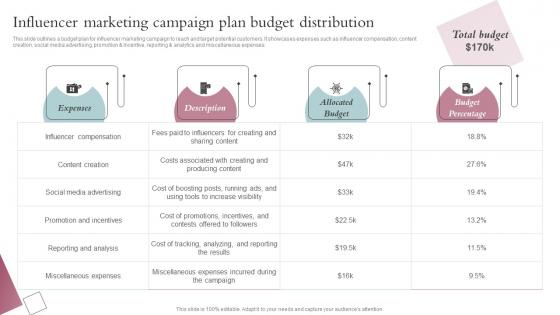 Influencer Marketing Campaign Plan Budget Distribution Spa Business Performance Improvement Strategy SS V