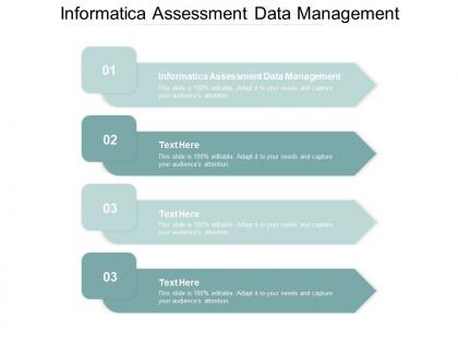 Informatica assessment data management ppt powerpoint presentation show mockup cpb