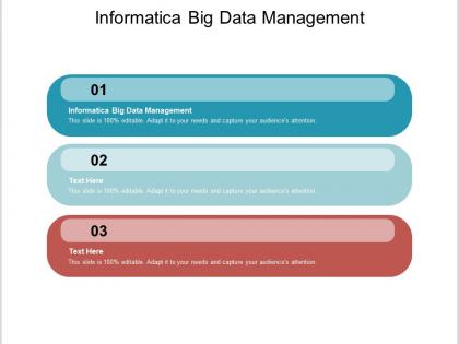 Informatica big data management ppt powerpoint presentation outline show cpb