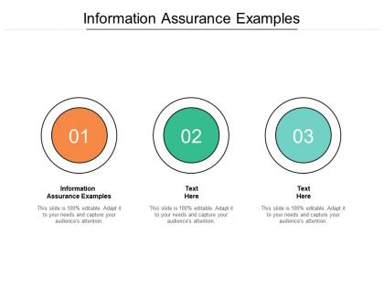 Information assurance examples ppt powerpoint presentation infographic template ideas cpb