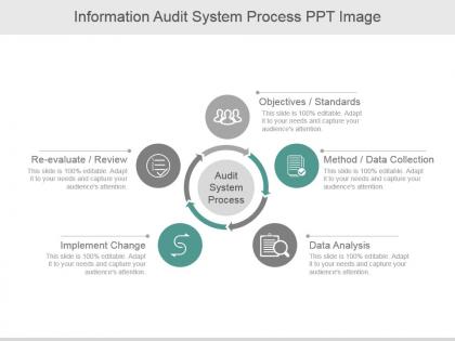 Information audit system process ppt image