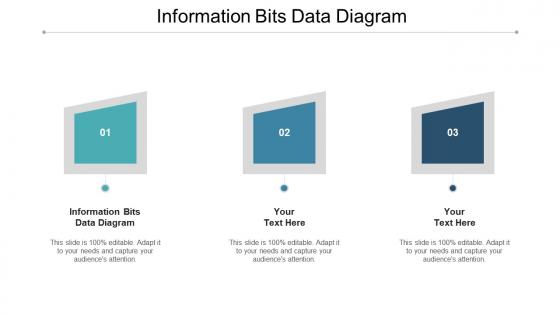 Information Bits Data Diagram PowerPoint Presentation and Slides PPT ...