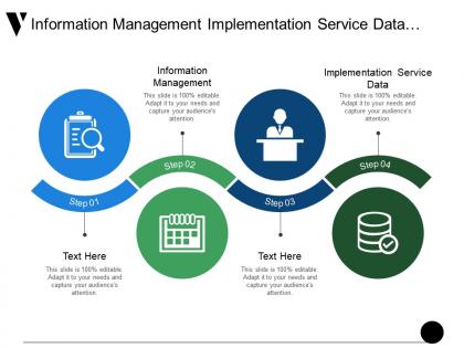 Information management implementation service data auditing data integration