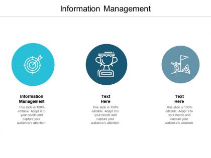 Information management portfolio ppt powerpoint presentation summary slides cpb