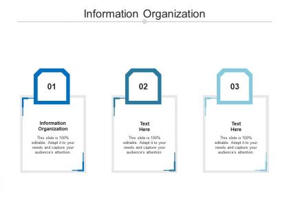 Information organization ppt powerpoint presentation outline visuals cpb