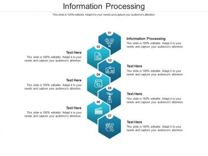 Information processing ppt powerpoint presentation professional graphic tips cpb