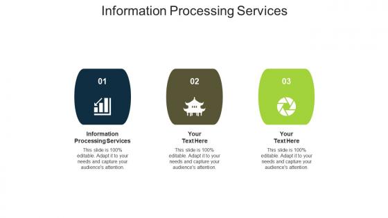 Information processing services ppt powerpoint presentation show icon cpb