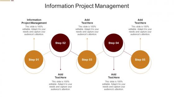 Information Project Management In Powerpoint And Google Slides Cpb