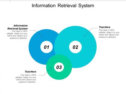 Information retrieval system ppt powerpoint presentation ideas pictures cpb