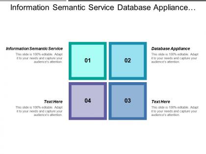 Information semantic service database appliance data quality tools
