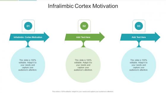 Infralimbic Cortex Motivation In Powerpoint And Google Slides Cpb