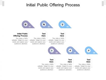 Initial public offering process ppt powerpoint presentation professional visuals cpb