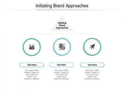 Initiating brand approaches ppt powerpoint presentation model cpb