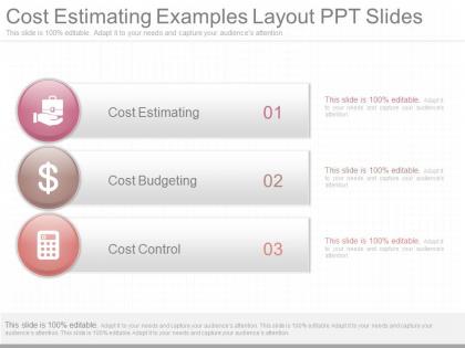 Innovative cost estimating examples layout ppt slides
