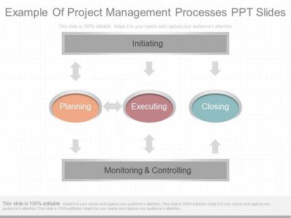 Innovative example of project management processes ppt slides