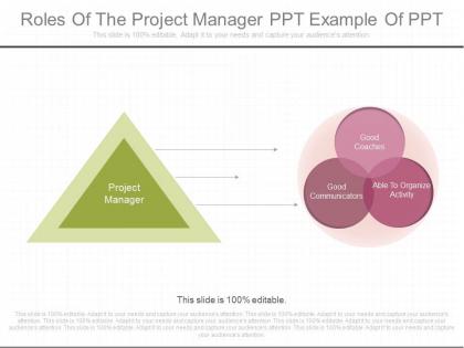Innovative roles of the project manager ppt example of ppt