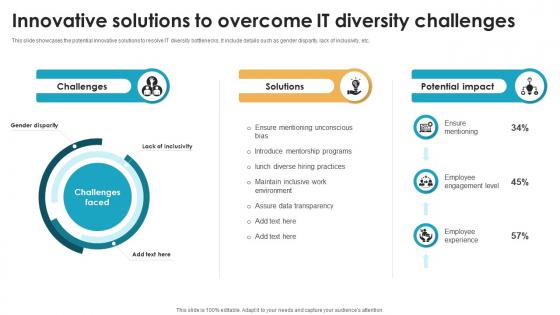 Innovative Solutions To Overcome It Diversity Challenges